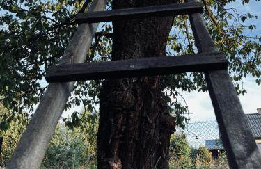 Domek na wsi kieleckiej - Foto 27