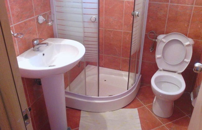 Apartmani Mitrovic Podlicak - Foto 31