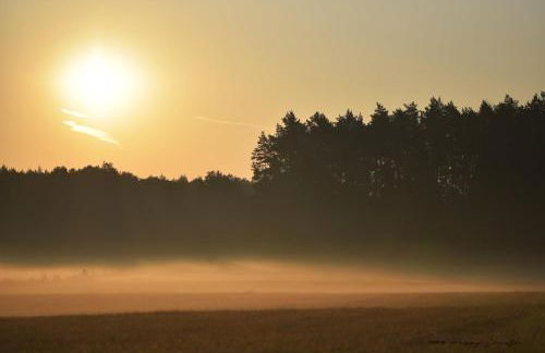 Buschschänke Lomnitz - Appartements - Foto 29