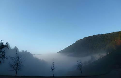 Holderstanzenhof - Foto 20