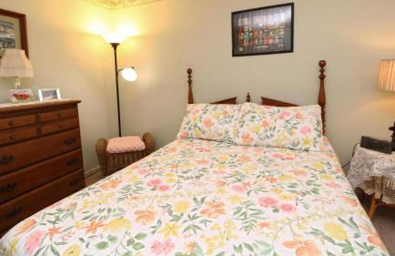 Shore Adventure - Foto 18