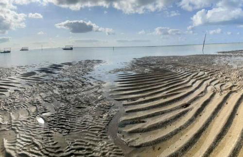 Mani Milagres Studio - Gamboa Patacho - Foto 31