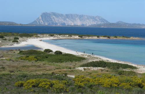 Appartamento Oleandro - Foto 34