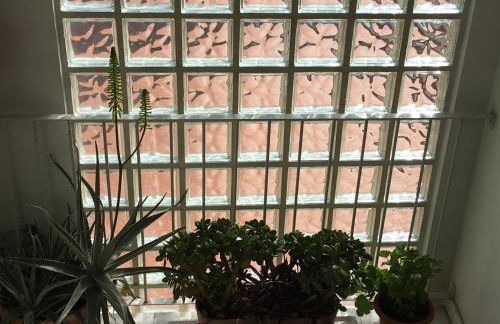 MÍ casa YOUR HOME - Photo 23