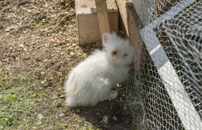 Sandvika Camping - Foto 68