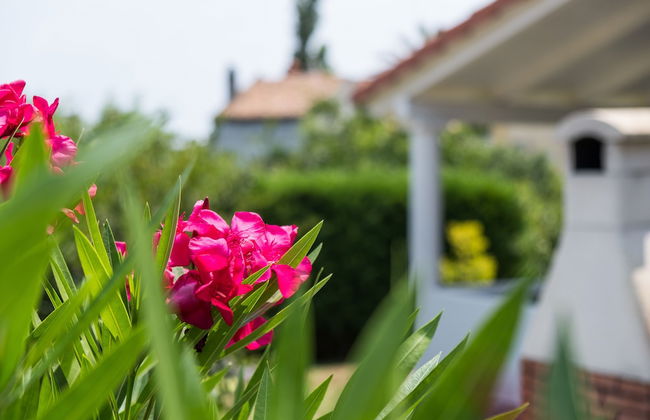 Villa Mirta - Foto 32