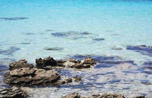 Breitling Apartments with Pool - Foto 11