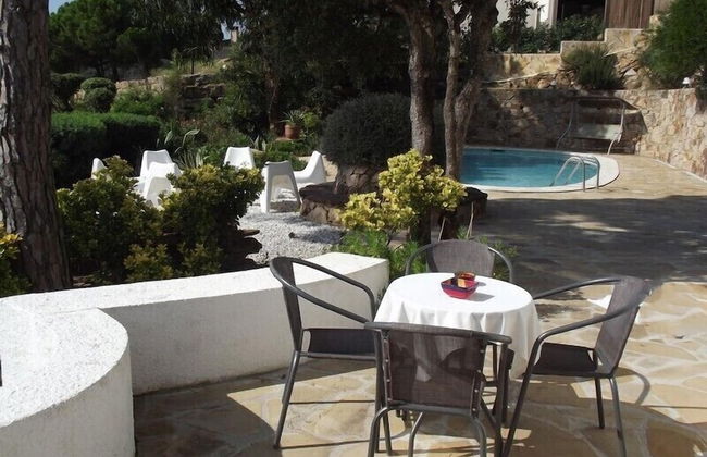 Danlux Palmera - Foto 12