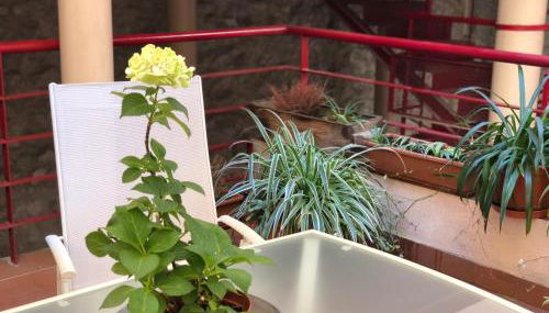 PRECIOSO ESTUDIO CON TERRAZA EN EL CORAZON DE MADRID Calle Cava Baja, 30 - Foto 4