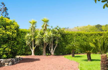 Quinta do Torcaz - Foto 113