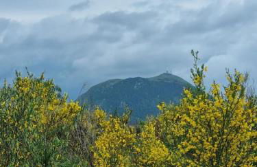 Cœur de volcan - Foto 30
