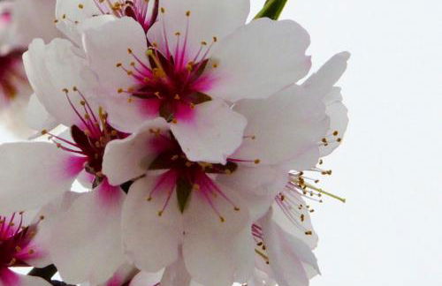 Sumptuous villa in Taberno with private pool - Foto 77