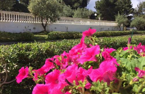 Villa Nunziatella Badia - Photo 41