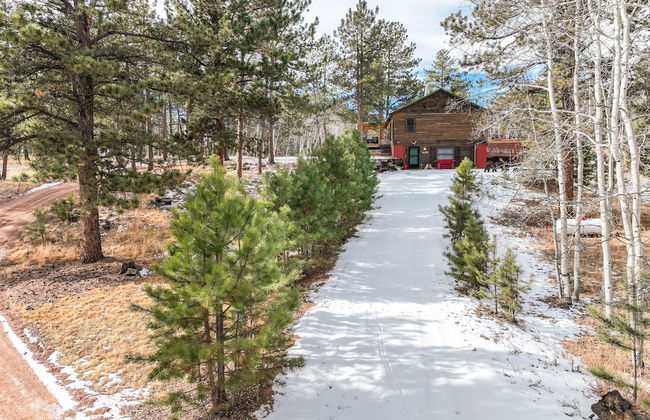 The Bear Den - Foto 50