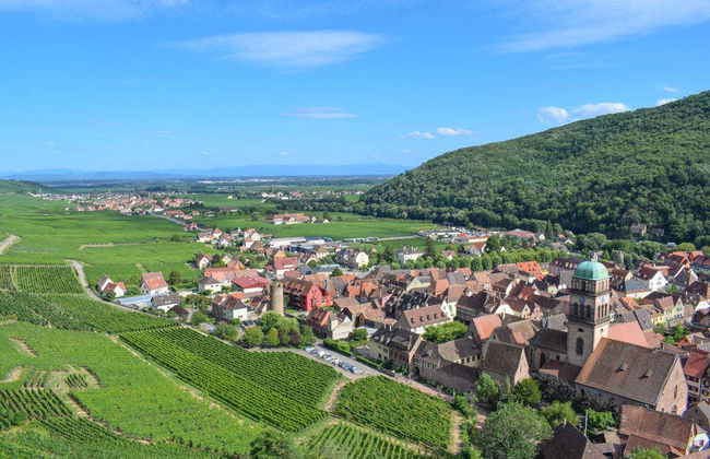 Tour por Alsacia + Castillo Haut-Koenigsbourg - Foto 7