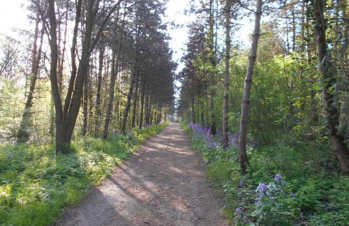 Ferienapartment-Monteurwohnung-Muldestausee - Foto 23