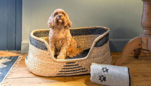 The Unique Cathedral Hideaway - Foto 1