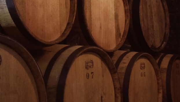 Excursión privada a la tequilera Corralejo y la zona arqueológica Plazuelas