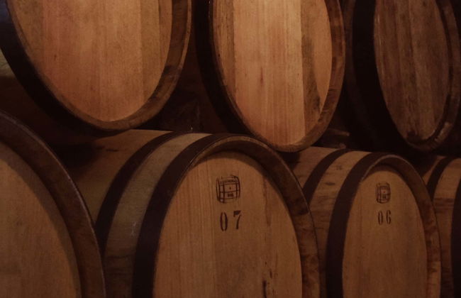 Excursión privada a la tequilera Corralejo y la zona arqueológica Plazuelas - Foto 5