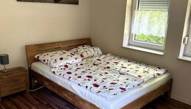 Large accommodation for up to 18 people near Halle Leipzig with Pool Table - Foto 5