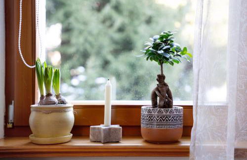 Spreequartier - Foto 10