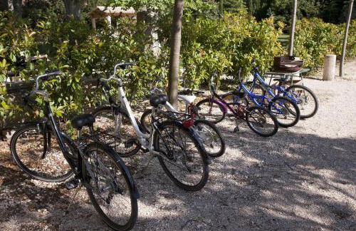 mas des pampres - Foto 36