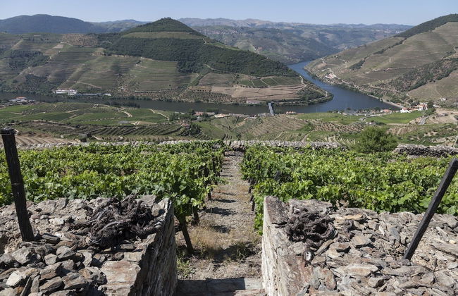 Casa de Casal de Loivos - Photo 38