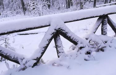 Da Santina - Photo 26