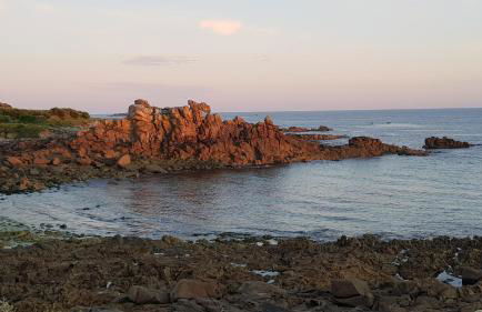 Maison de vacances bord de mer Sibiril Moguériec finistère la villa Léonie - Foto 39