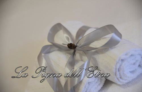 La Pigna dell'Etna - Foto 33