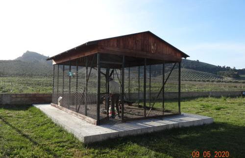 Agriturismo Fieri - Foto 31