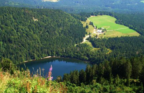 Ferienwohnung Regina - Foto 28