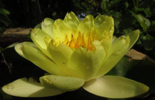 Holiday Home Botanica - Foto 43