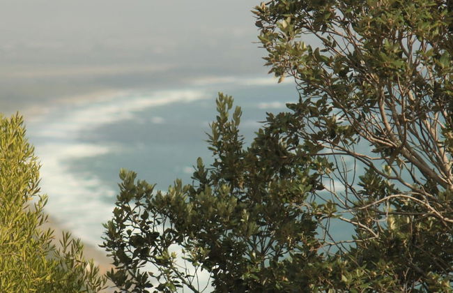 Villa Ada in Ansedonia - Foto 49