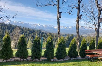 Panoramiczny Wierch - Foto 17