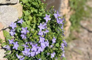 Crosa tra le Nuvole - Foto 8