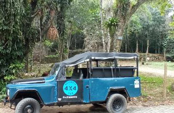 Chácara Palma - Foto 13