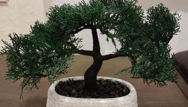 sofi intuit cozy home free parking queen beds - Foto 2