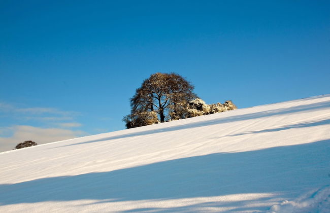 Manor Farm Courtyard Cottages - Foto 25