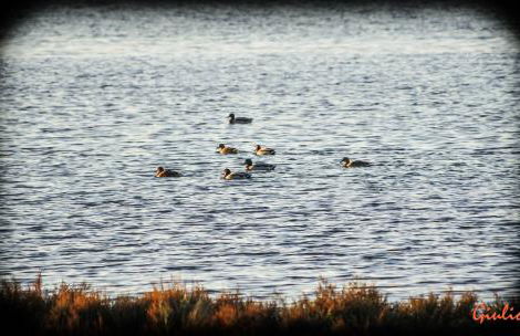 Casa Oriana - Foto 39