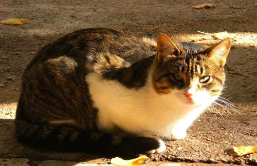 Agriturismo Valle degli Arci - Foto 48