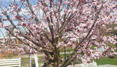 Pokoje Pod Gruszą -osobne wejścia - Foto 4