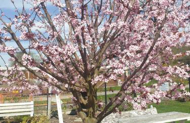Pokoje Pod Gruszą -osobne wejścia - Foto 4