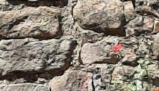 Casa Sant'Andrea - Photo 4