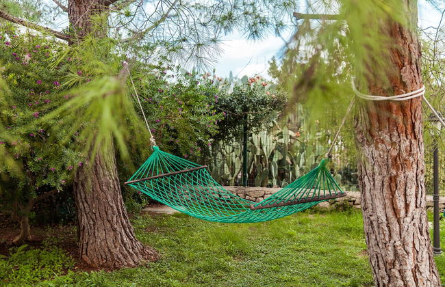 Agriturismo Salinola - Foto 55