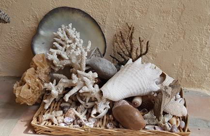 gite LAPAZ/jacuzzi privé/piscine - Foto 41