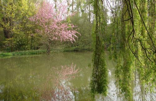 Les Bambous, avec piscine, tennis et lac privatif - Foto 10
