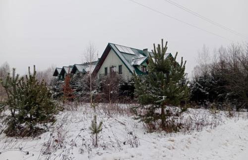 Dwór Na Otulinie - Foto 4