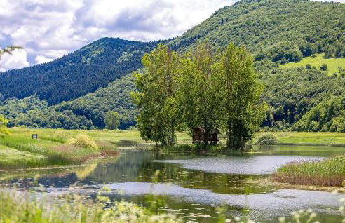 Cozy Home In Prokike With Sauna - Foto 44