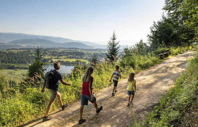 Holiday Home in Carinthia Near Lake Klopeiner - Foto 32